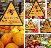 If Bees Go Extinct