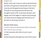 Best Story I Have Ever Read