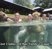 Going For A Swim With Good Friends