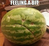 Depressed Melon