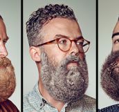 Animal Beards (7 Pics)