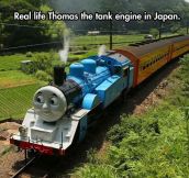 Real Life Thomas The Tank