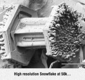 Snowflake Under Electron Microscope