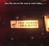 Just Keep Honking