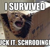 Schrodinger’s Cat Revenge