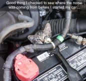 Get Outta There Cat, You Aren’t Even A Mechanic