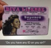 Diva License