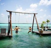 Awesome Swing In The Ocean