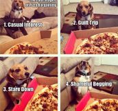 The Four Stages Of Pizza Bargaining