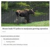 Canada’s new police force?