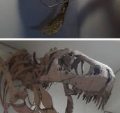 Incredible Cardboard Creatures