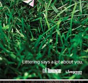 Littering Says A Lot About You