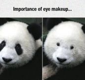 Why Eye Make-Up Is Important