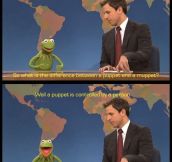 Kermit Is Not A Puppet