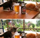 Human, You Drink This Stuff?