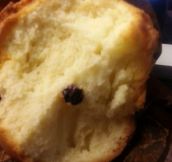 One Blueberry Muffin