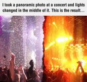 Panoramic Photo At A Concert