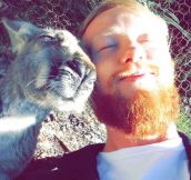 A Kangaroo Selfie