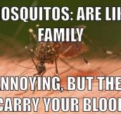 Mosquitoes Are Like Family