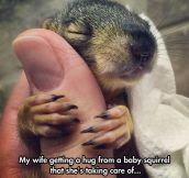 Baby Squirrel Giving Love