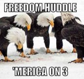 The Freedom Huddle