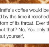Interesting Giraffe Fact