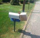 Bravo Mailman
