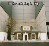 The Original Up House