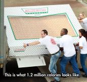 Giant Box Of Krispy Kreme