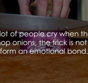 It’s Only An Onion