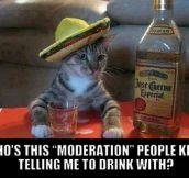 Remember To Drink With Moderation