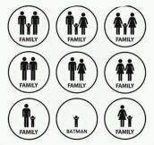 The Potential Family Variations