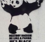 Pandas Are The Best Example Of Inclusion