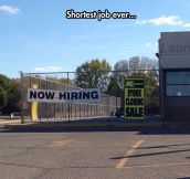 Look They’re Hiring, Oh