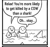 Don’t Be Afraid Of Shark