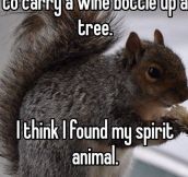 Squirrel With A Wine Bottle
