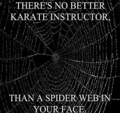 The Best Karate Instructor