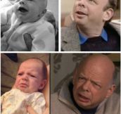 Babies Looking Like Wallace Shawn? Inconceivable!