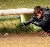 9 year-old Spanish boy becomes young wildlife photographer of the year by the National History Museum, London