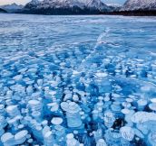 Amazing Frozen Lake Beauty