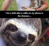 The Cutest Sloth Selfie