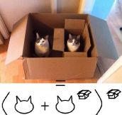 Mathematical Formula Of Cats And Boxes