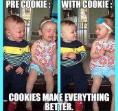 Cookies Can Fix Everything
