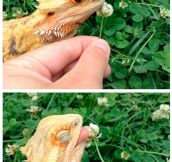 Cute Dragon Loves Flowers