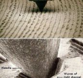 The Waveform Of The Music