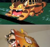 Cat Bus Cosplay