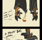 Fruit Bats Pun