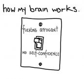 How My Brain Works Sometimes