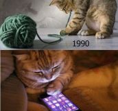 Only 90’s cats will understand.