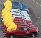 Cheesiest Pick-up Line Ever